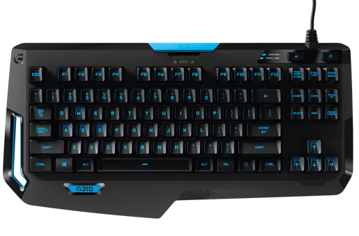 G310